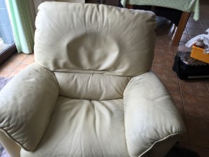Leather Repair